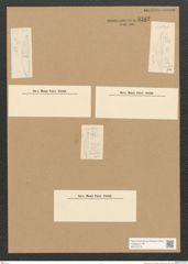 Diatomeae indet. Zeichnungen Sammlung Grunow Nr. 3292 (NHMW-BOT-W0370778)